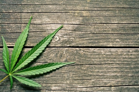 marihuana